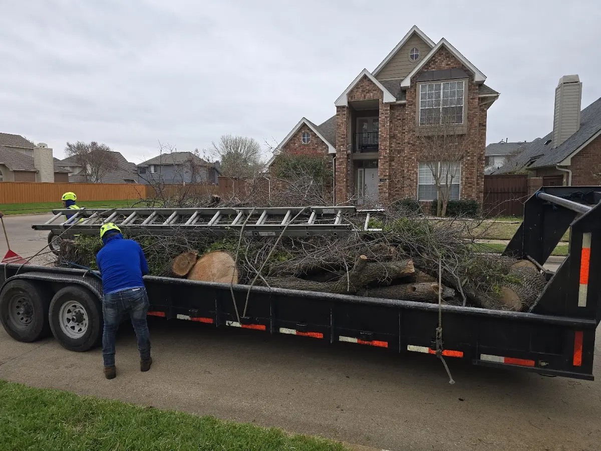 Expert Crown Reduction with proper safety equipment in Forest Lakes